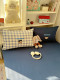 Baby Can Sleep Peacefully~ Class a Washed Cotton Gauze 2026 New Style Quilt Cover Four-Piece Set Student Dormitory Three-Piece Set
