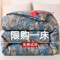 Authentic silk quilt with mulberry silk winter quilt thickened warm double cotton quilts by winter full cotton quilts 8 catties