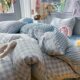 Milk Velvet Four-Piece Set 2026 New Thickened Duvet Cover Flannel Beanie Single Dormitory Winter Warmth