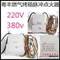 Yuefeng gas oven pulse igniter high pressure package ignition box oven accessories Yuefeng accessories 220V