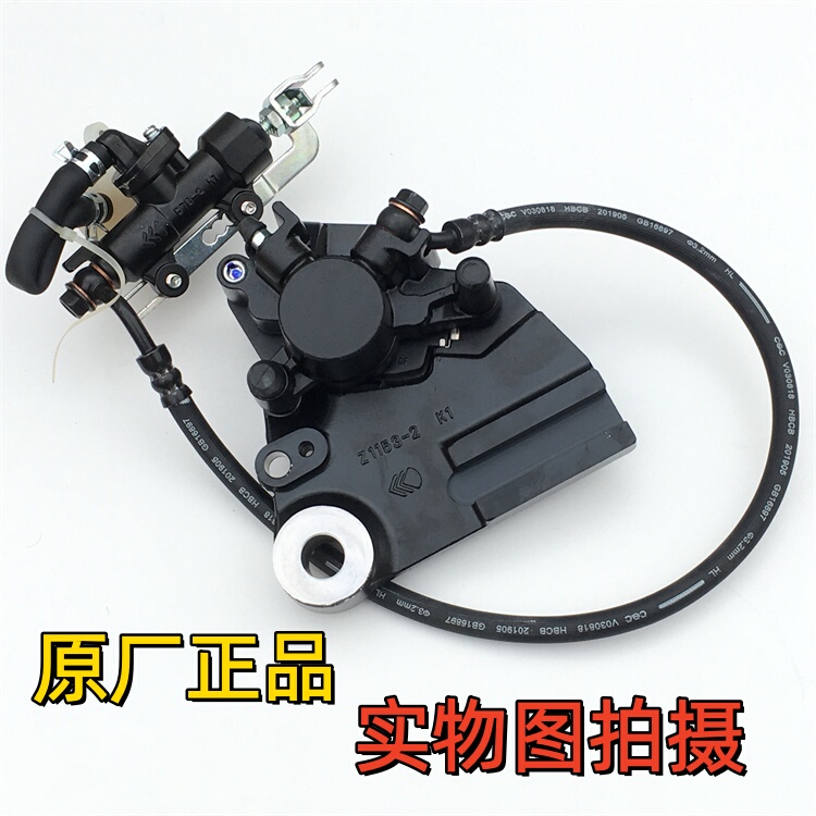 Longxin Wuji 300R 300Rr 300Ac 300Ds 300L 300P Rear Brake Pump Caliper Assembly Set