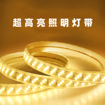 LED high-bright light with 220V waterproof silicone soft light bar Home improvement living room ceiling bar background wall outdoor lighting