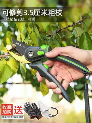 Cutting scissors horticultural cutting branches fruit trees fruit branches pruning shears flower scissors garden flower art Strong and labor-saving rough branches