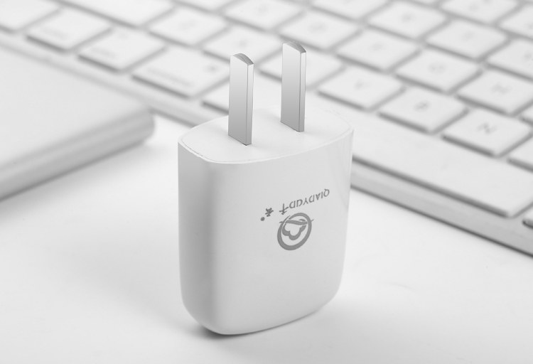 chargeur pour téléphones APPLE APPLE IPHONE5S - Ref 1292911 Image 10