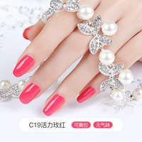 C19 Vitality Rose Red (Pink Rose Red)