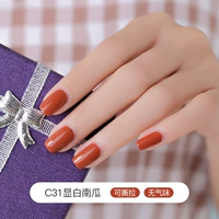 C31 Тыква (тыквен оранжевый)