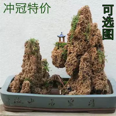 Natural absorbent stone rockery bonsai water stone combination viewing town house strange stone rock original stone air humidification gift