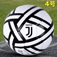 Цвет лотоса