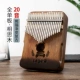 20 Sound Flagship Panda Gradient Retro Retro