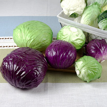 Simulation of fake green cabbage fruit and vegetable model Chinese cabbage photography props vegetable cabbage cabinet refrigerator decoration decoration