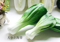 Simulation of vegetables and fruits shooting stage props shop home decoration pakchoi Xiaotang cuisine