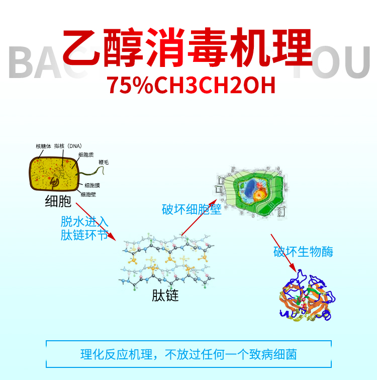75度酒精喷雾消毒液 500ml 图5