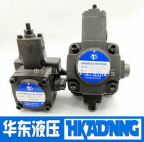 The Great Wall hydraulic pump vane pump VPC-20 15 12 30 40-7 0 5 5 3 5 2 0