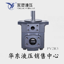 Xianju Yongling quantitative vane pump PV2R3-116F1 60 66 76 94 125 13YLC hydraulic pump