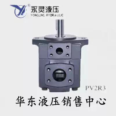 Xianju Yongling quantitative vane pump PV2R3-116F1 60 66 76 94 125 13YLC hydraulic pump