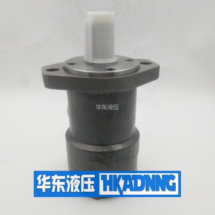 Hydraulic wiring motor BMR80 50 100 125 160 200 250 315 400 Oil pressure BM1 BM2