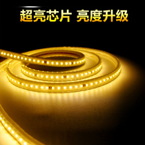 Light strip led three-color color changing household light bar dimming 220V living room ceiling colorful outdoor waterproof light Belt