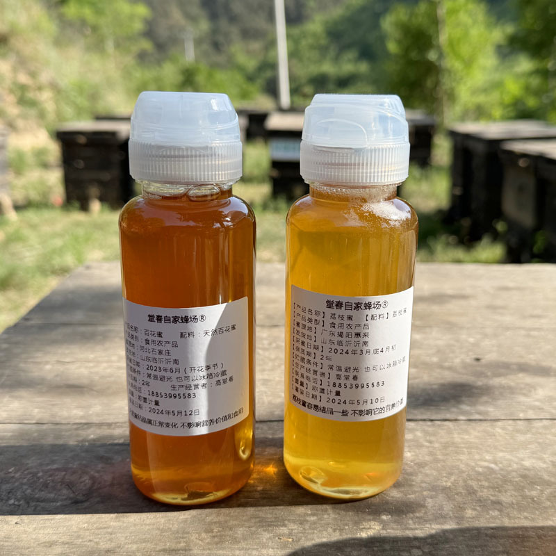 Honey, Pure and Natural Linden Tree Honey, Squeeze Bottle, Multi-Flower Honey, Acacia Honey, Small Portable Bottle, Beekeeper's Own Raw Honey