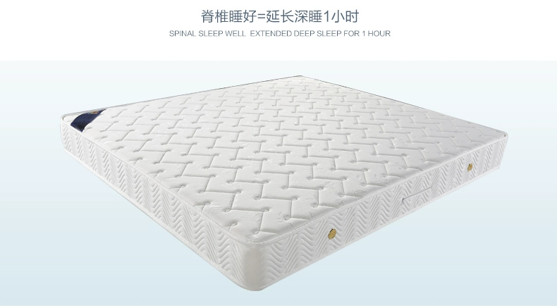 Yufeng 3D xơ dừa nệm mat cứng và mềm kép nửa nâu nửa mùa xuân nệm Simmons 1,8 m 1,5 m - Nệm