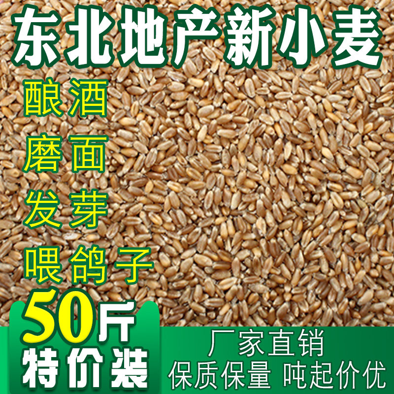 In 2021, the new wheat wheat grass grinded noodle brewed to fed pigeons 50 kg