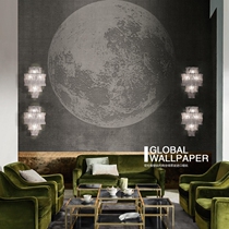 Italian Mural Italy Wall Deco LUNA PLENA 4 23 x 3 meters Earth pattern