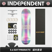 DBH skateboard set Professional beginner adult children male and female students brush the street four-wheeled double-up 5 6 imported indy set