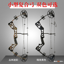 huwairen fire Kirin small composite bow professional bow and arrow shooting high precision motion suit outdoor alloy bow