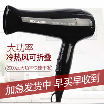 Flying Coelectric Hair Dryer FH6231 Hair Dryer Wind Dryer High Power Foldable Home Cold Hot Wind Dormitory Students
