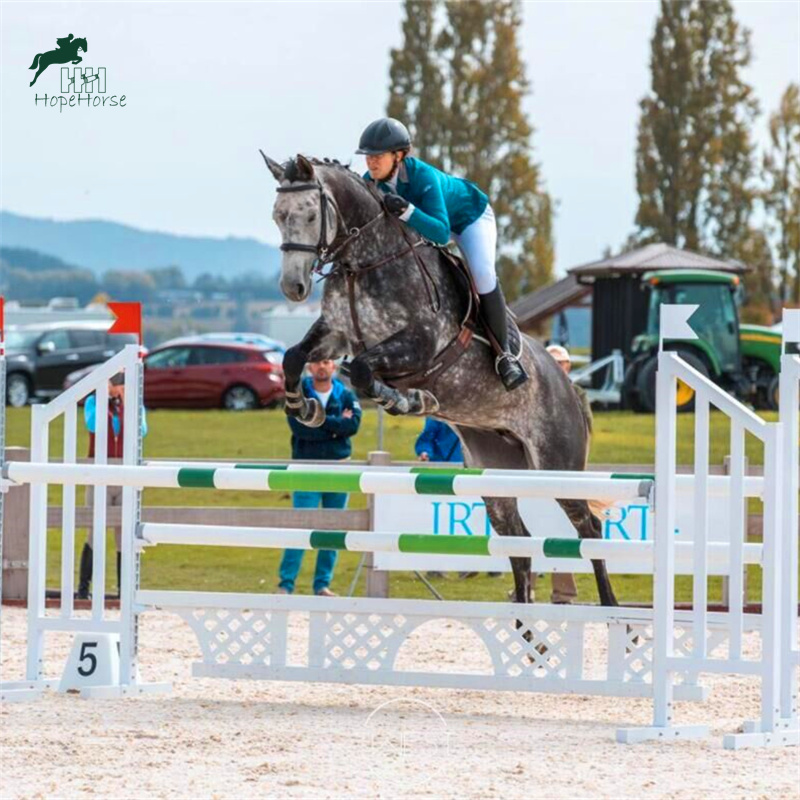 Equestrian obstacle customizing equestrian grounds barriers to equestrian grounds for equestrian disorders