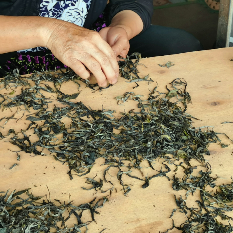 Yuncha Pier Tea Mountain Shares 2023 Mint Pond Pu'Er Raw Tea in 50g Packs. Every Sip Is a Delight Yuncha Pier Tea Mountain Shares 2023 Mint Pond Pu'Er Raw Tea in 50g Packs. Every Sip Is a Delight