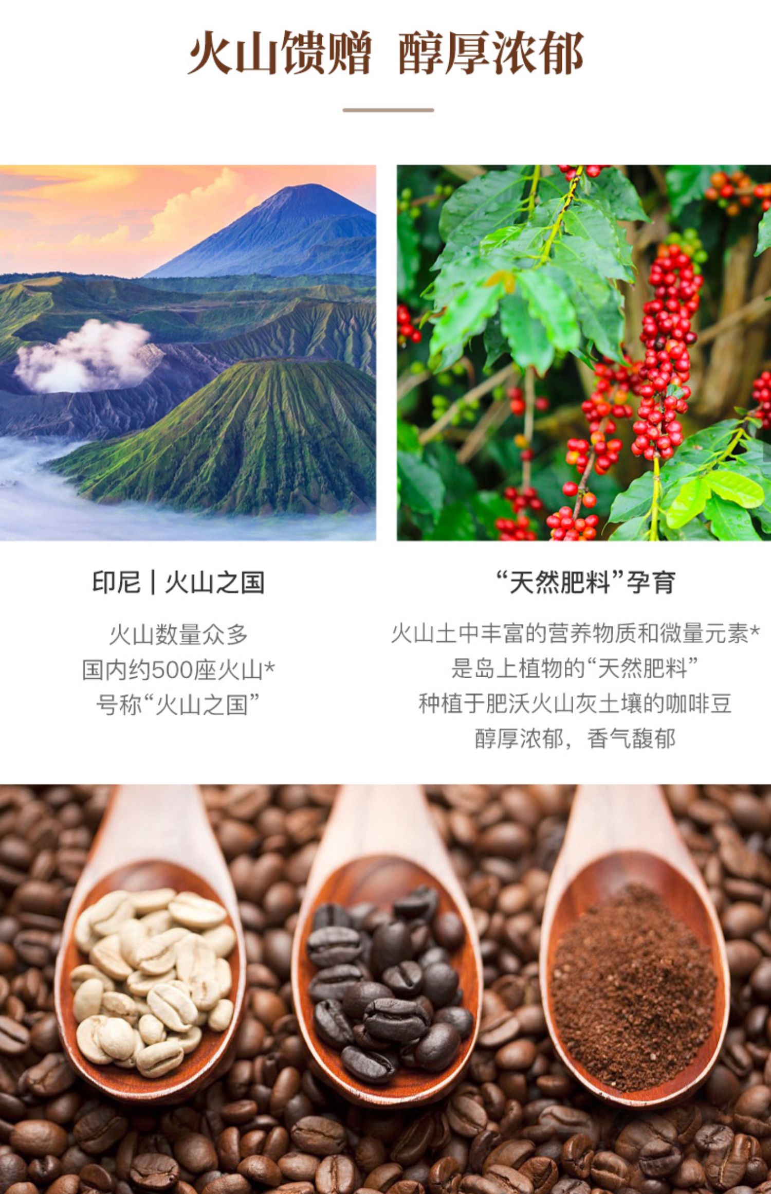 印尼进口KOPIKO可比可火山咖啡20条