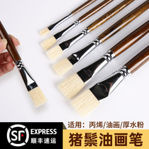 Bristle oil brush acrylic water chalk set professional paint pen oil painting wall painting pig hair hard brush beginner art brush flat head student painting brush brush brush