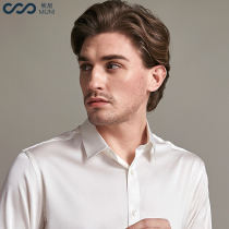 Mugny silk heavy silk 19 m Mulberry Silk solid color long sleeve shirt male exquisite small lapel banquet shirt