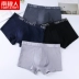 Nam Cực đồ lót nam cotton nam quần boxer mùa thu đồ lót bốn góc trai trẻ quần quần lót nam - Giống cái Giống cái