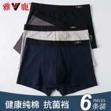 Мужское хлопковое нижнее белье, летние штаны, подходит для подростков