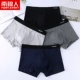 Nam Cực đồ lót nam cotton nam quần boxer mùa thu đồ lót bốn góc trai trẻ quần quần lót nam - Giống cái