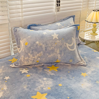Autumn and winter thickened plush milk velvet pillowcase