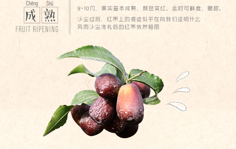 语味 新疆免洗灰枣 800g*2袋 图5