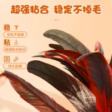 Рок с веревками с веревками, ученики детской начальной школы первые -Спортивные соревнования по детскому саду, веревочные перья