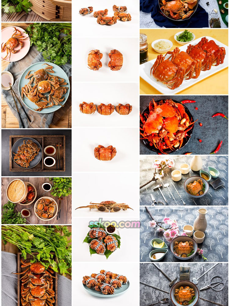 大闸蟹海鲜图片螃蟹特写美食菜单画册海报设计高清图片摄影素材插图19