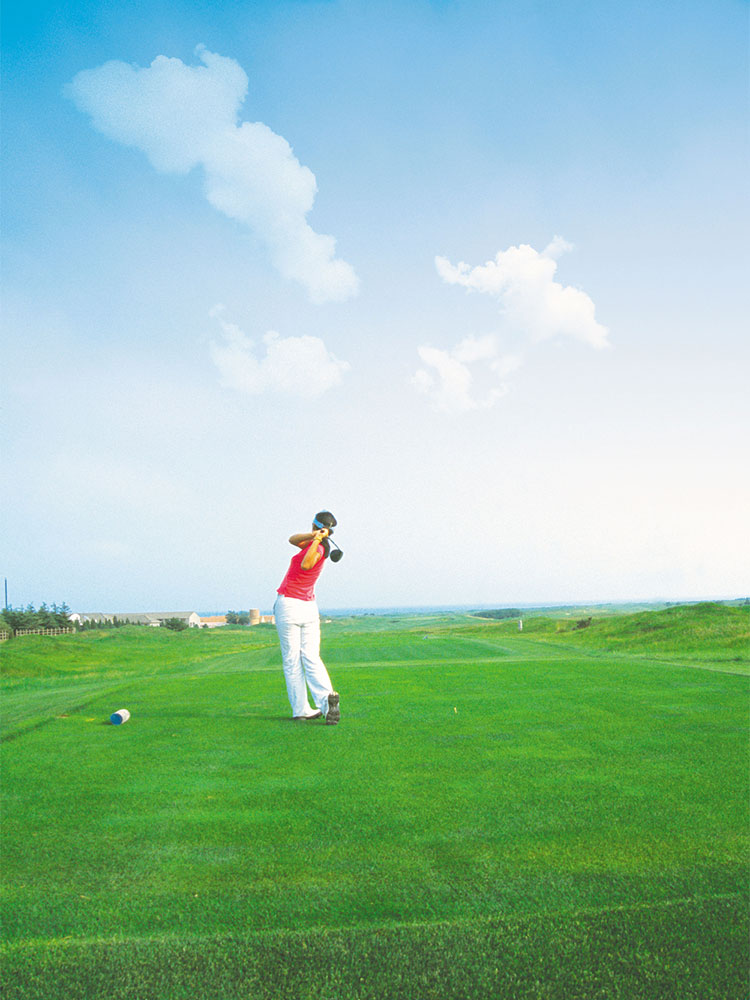 高尔夫球场插图场景照片风景壁纸高清4K摄影图片设计背景素材插图3