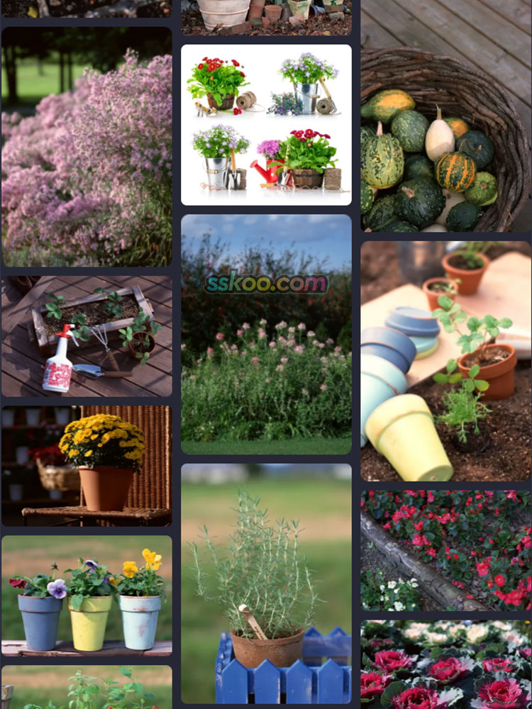 花园盆栽美居场景插图照片风景壁纸高清4K摄影图片设计背景素材插图12