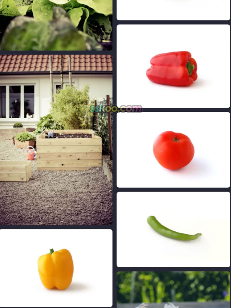 美味田园蔬菜瓜果绿色健康食品特写高清摄影照片图片素材背景插图11
