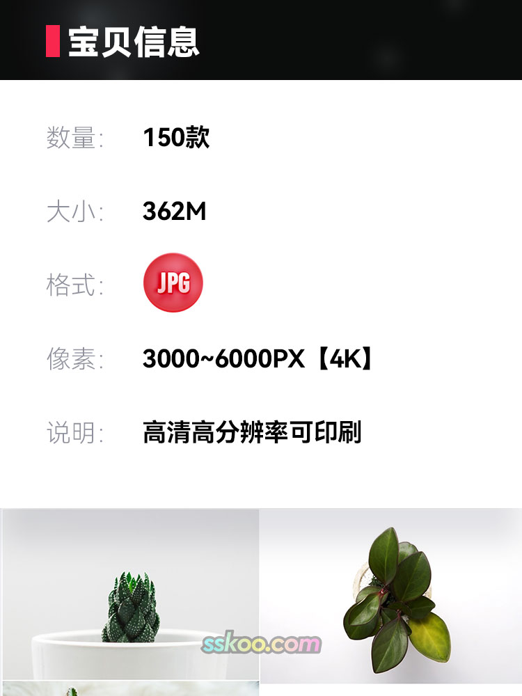 办公室盆栽绿植高清JPG摄影特写照片4K壁纸背景图片插图设计素材插图1