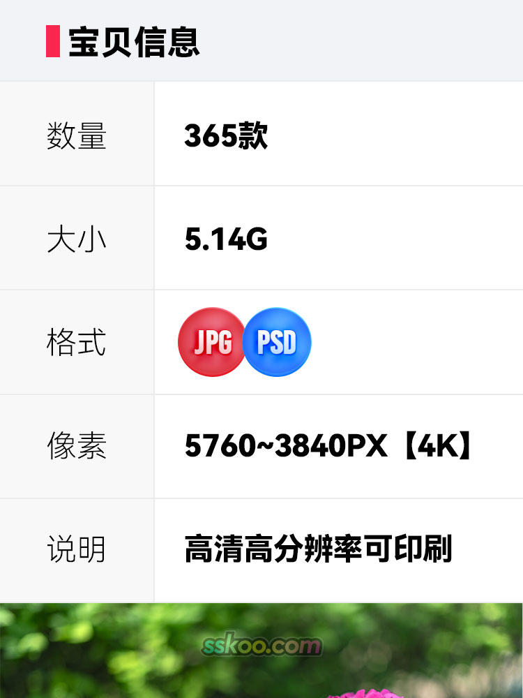 玫瑰月季花朵插图特写照片风景壁纸高清4K摄影图片设计背景素材插图1