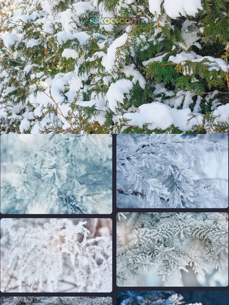 雪景大雪冬天立冬新年冰雪世界雪花背景特写照片摄影高清图片素材插图5