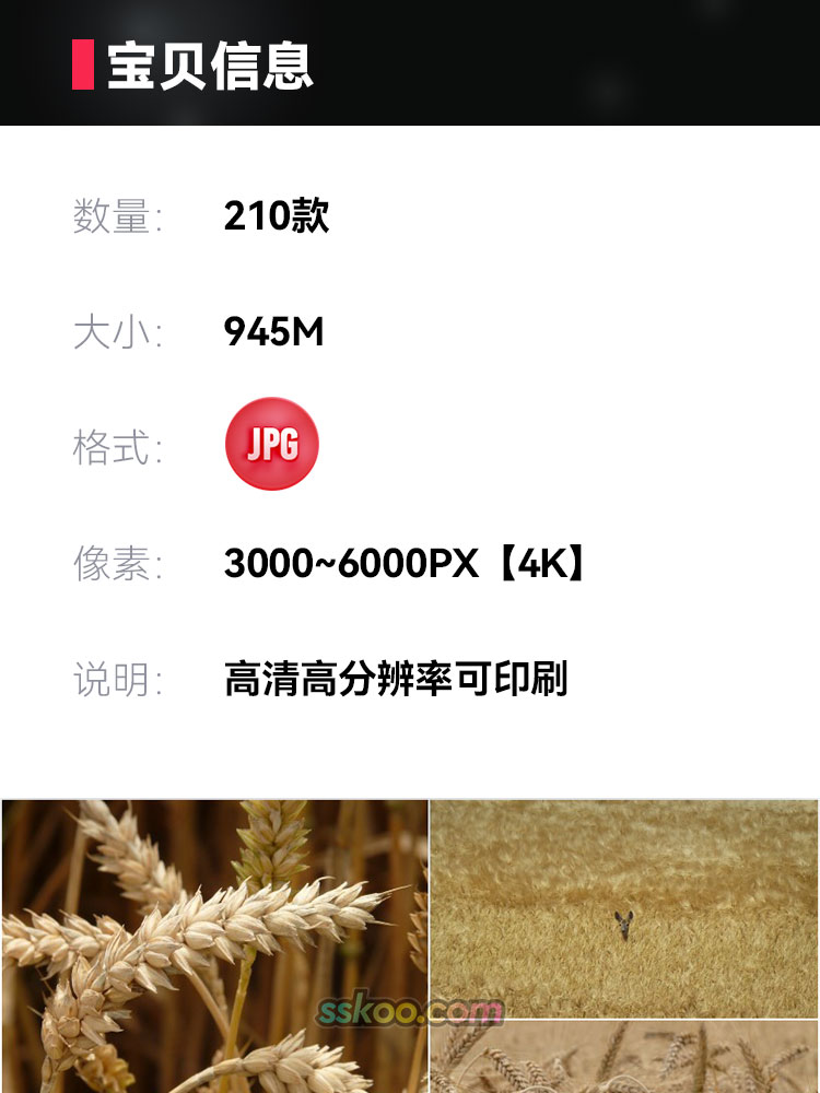 高清JPG素材麦田图片风吹大小麦浪穗粒垛金黄谷物乡村丰收农作照插图1