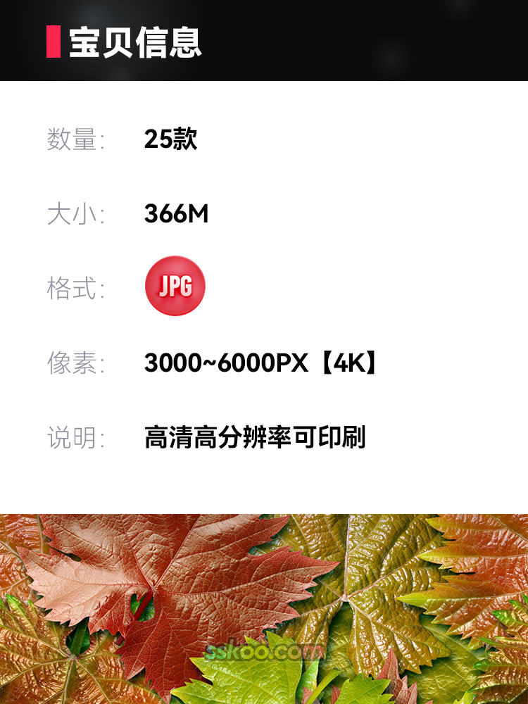 唯美树叶场景高清JPG摄影特写照片4K壁纸背景图片插图设计素材插图1