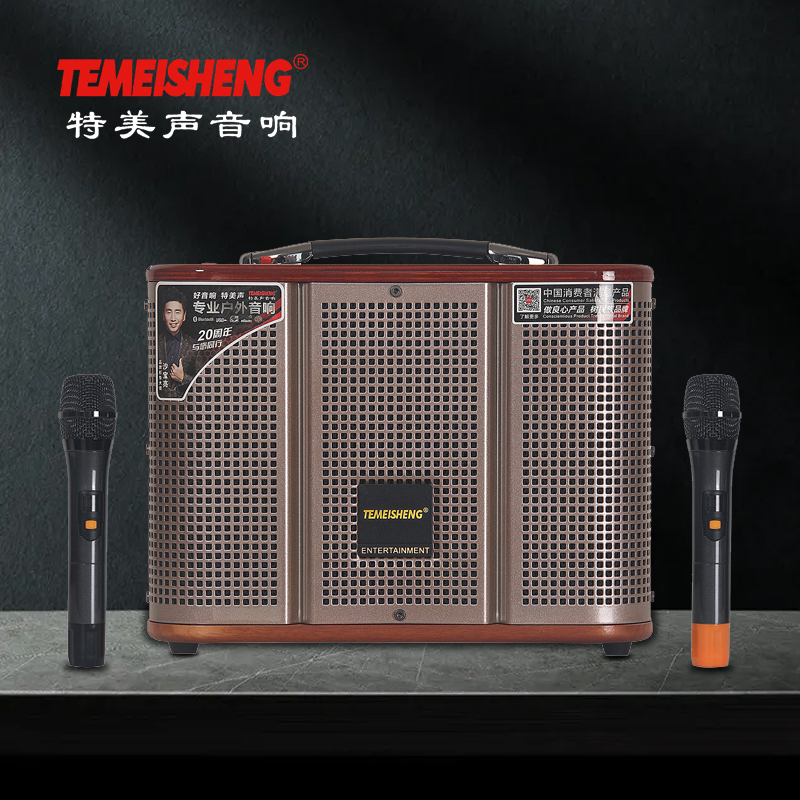 Temeisheng portable high-power live singing bluetooth outdoor audio home karaoke square dance speaker