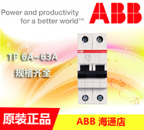 Original ABB miniature circuit breaker D-type circuit breaker SH202 2P61016202532405063A